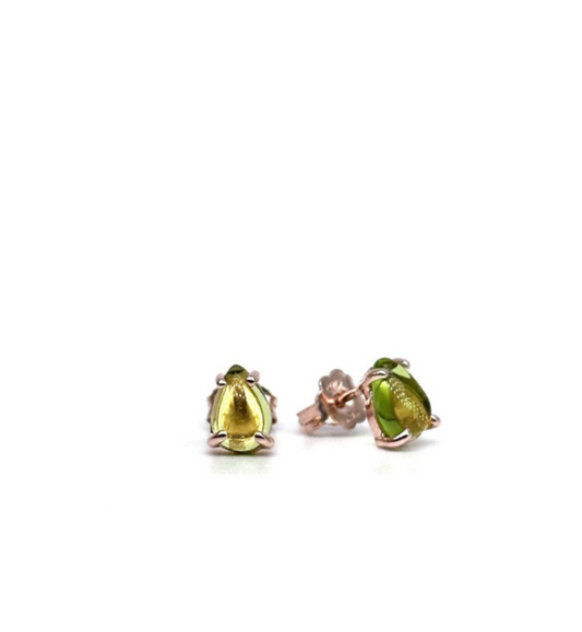 Niagara Collection earrings - 11572